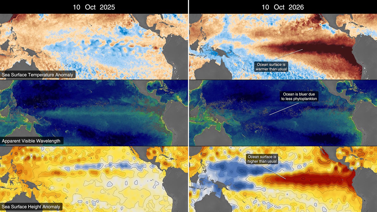 ภาพจาก NASA ประกอบข่าว NASA ติดตามปรากฏการณ์ El Niño ครั้งใหญ่ปี 2026 ผ่านดาวเทียมสำรวจ