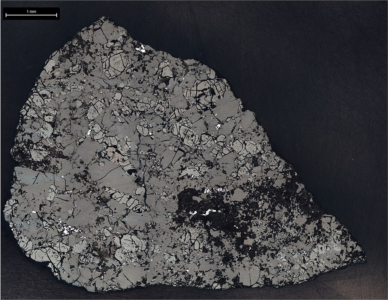 ภาพประกอบ: Slice of Martian Meteorite Teghaza 001 (PIA26801)